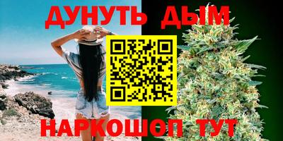 сатива Апшеронск