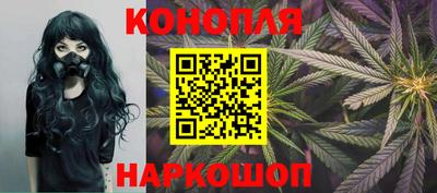 сатива Апшеронск