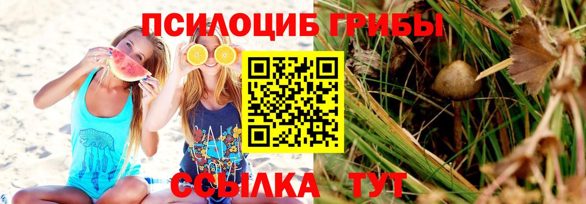 Галлюциногенные грибы MAGIC MUSHROOMS  Псилоцибиновые грибы MAGIC MUSHROOMS  Великий Новгород  Вход с VPN 